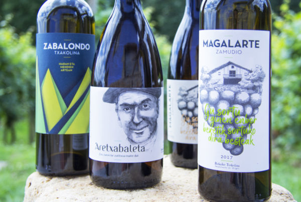 Txakoli Magalarte Zamudio variedad de vinos
